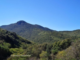 Monte Arci, comune di Palmas Arborea