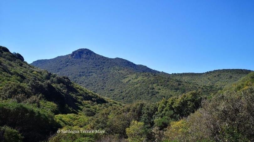 Monte Arci, comune di Palmas Arborea