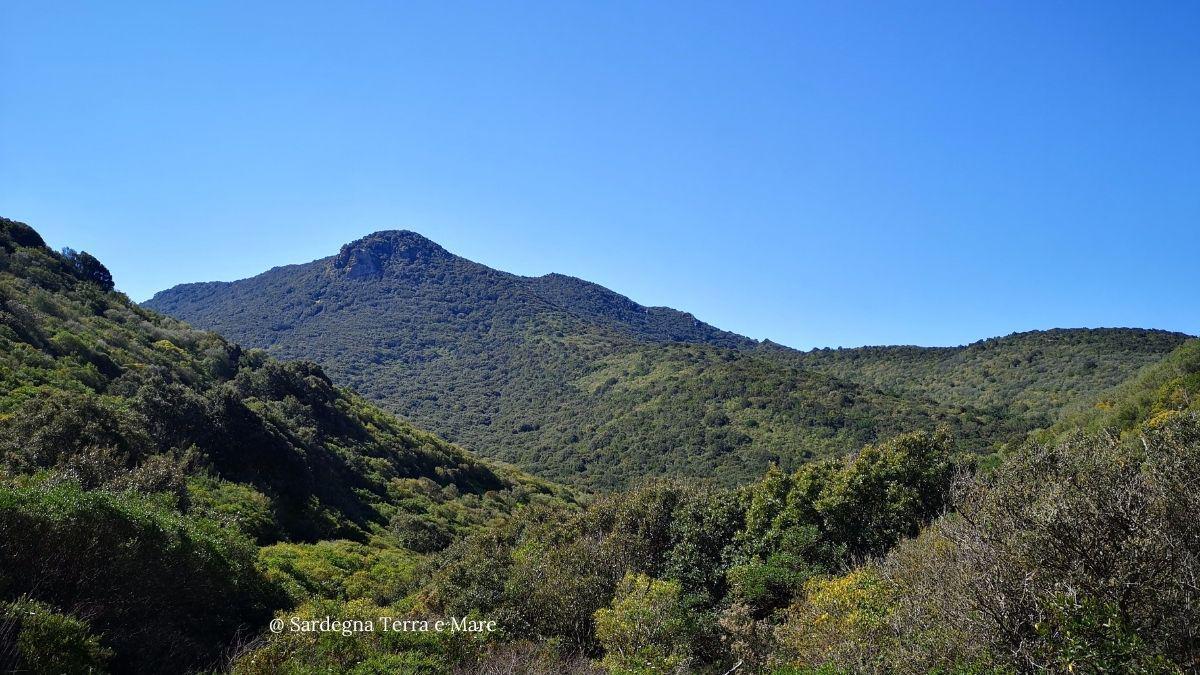 sardegnaterraemare_montearci1