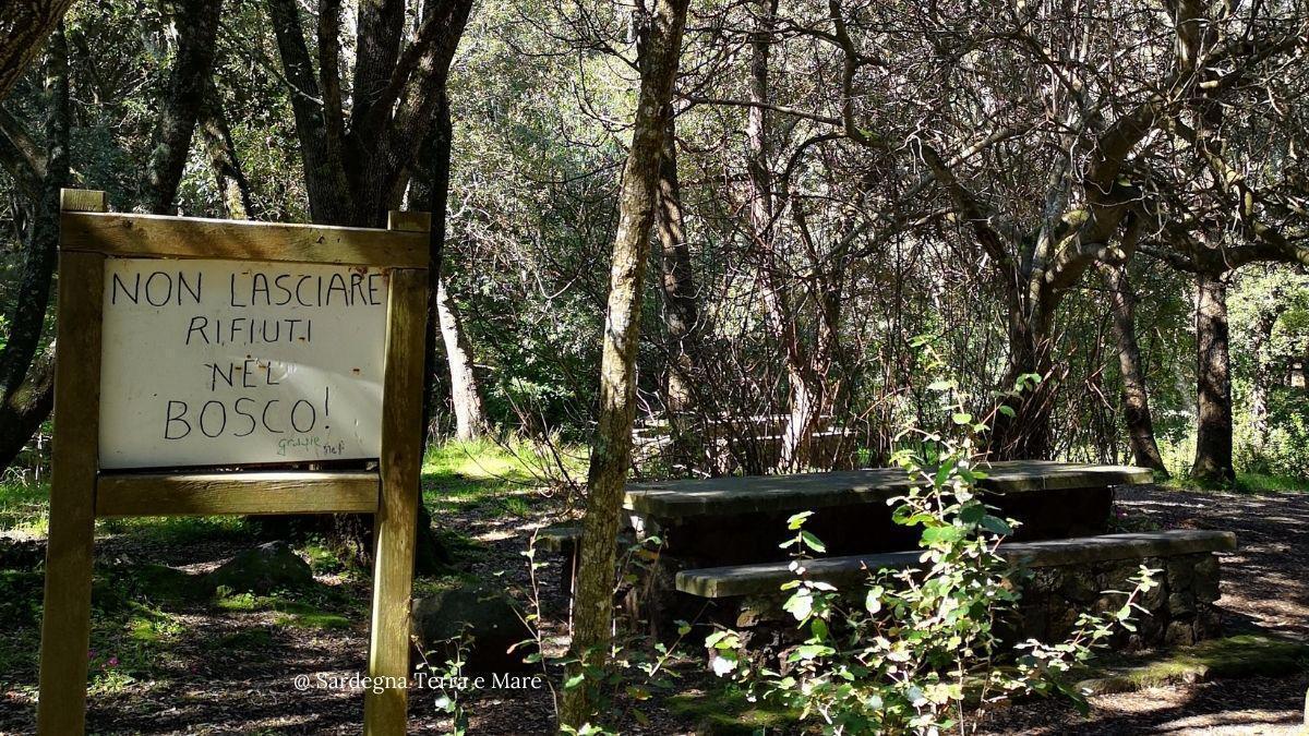 Monte Arci, comune di Palmas Arborea
